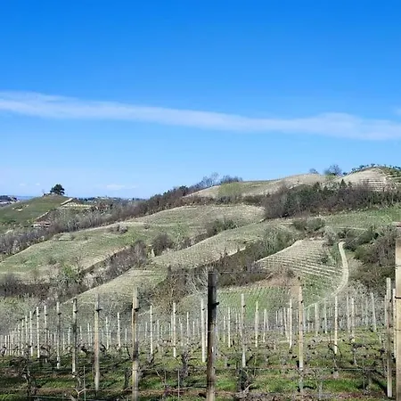 Il Canto Del Gallo Country House * Cassinasco